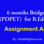 Bridge Course Assignment answer