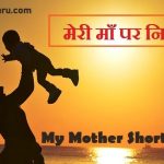 my Mother essay hindi