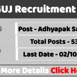 Commissionerate Of Higher Education (CHEGUJ) Recruitment