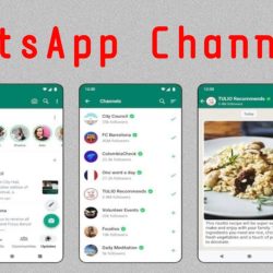 WhatsApp Channels