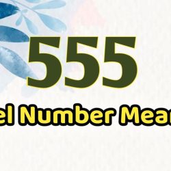 555 Angel Number Meaning