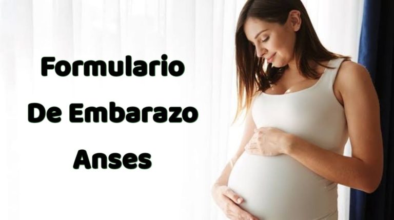 Formulario De Embarazo Anses Pdf Free Download 6074