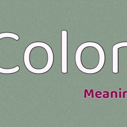 Colon Meaning