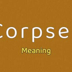 Corpses Meaning