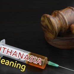 Euthanasia Meaning