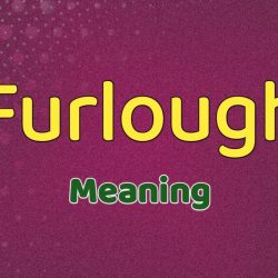 Furlough Meaning