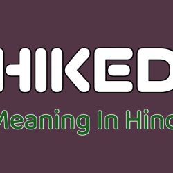 Hiked Meaning In Hindi