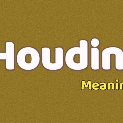 Houdini Meaning