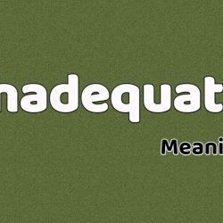 Inadequate Meaning