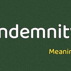 Indemnity Meaning