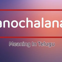 Manochalanam Meaning In Telugu