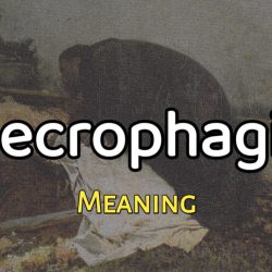 Necrophagia Meaning