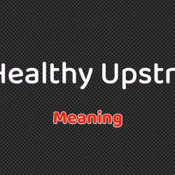 No Healthy Upstream Meaning