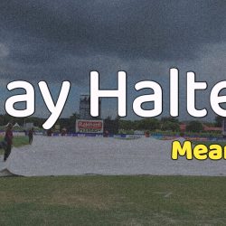 Play Halted Meaning