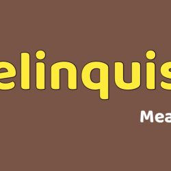 Relinquish Meaning