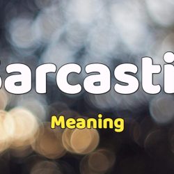 Sarcastic Meaning