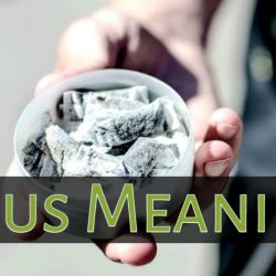 Snus Meaning