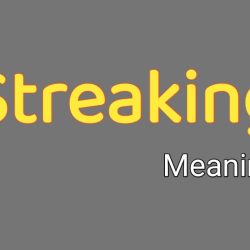 Streaking Meaning