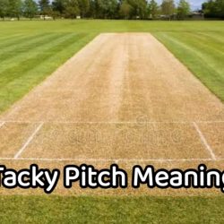 Tacky Pitch Meaning