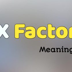 X Factor Meaning