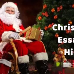 Christmas Essay In Hindi