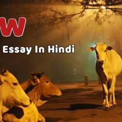 Cow Essay In Hindi