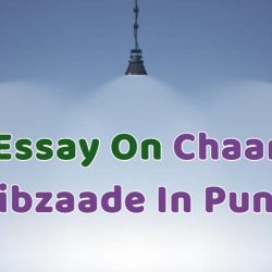 Essay On Chaar Sahibzaade In Punjabi