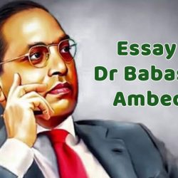 Essay On Dr Babasaheb Ambedkar