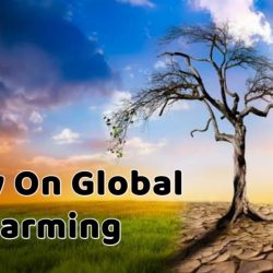 Essay On Global Warming