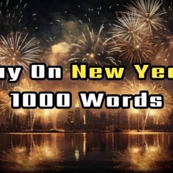 Essay On New Year In 1000 Words