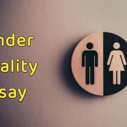 Gender Equality Essay