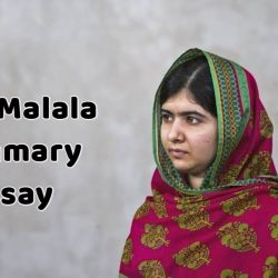 I Am Malala Summary Essay