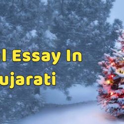 Natal Essay In Gujarati