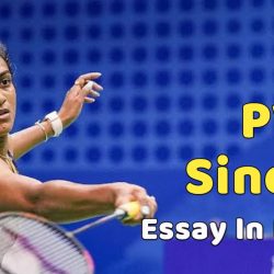 PV Sindhu Essay In English