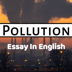 Pollution Essay In English