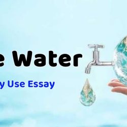 Save Water In Daily Use Essay