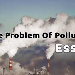 The Problem Of Pollution Essay