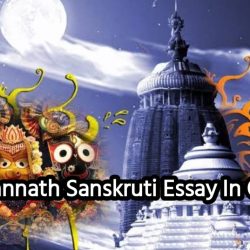 Jagannath Sanskruti Essay In Odia