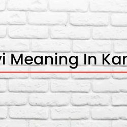 Aashvi Meaning In Kannada