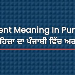 Accent Meaning In Punjabi