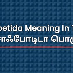 Asafoetida Meaning In Tamil