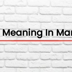 BDO Meaning In Marathi