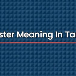 Baster Meaning In Tamil