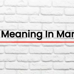 CET Meaning In Marathi