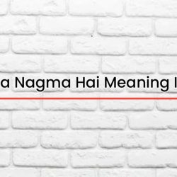 Ek Pyar Ka Nagma Hai Meaning In English