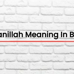 Fi Amanillah Meaning In Bengali