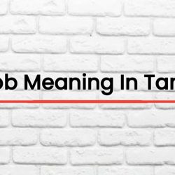 Gob Meaning In Tamil