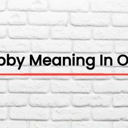 Hobby Meaning In Odia