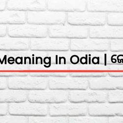 Jowar Meaning In Odia