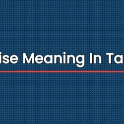 Liaise Meaning In Tamil